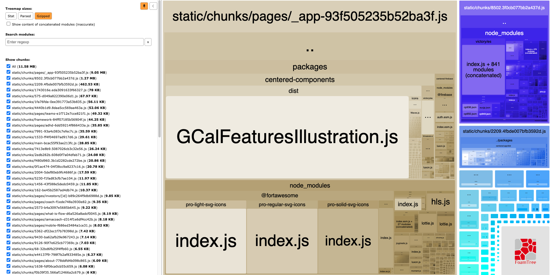 Webpack Bundle Analyzer gzipped output FoamTree visualization. Total chunk size is 11.58 MB, and the biggest chunk is pages/_app at 9.05 MB. A very large GCalFeaturesIllustration.js is inside the app bundle