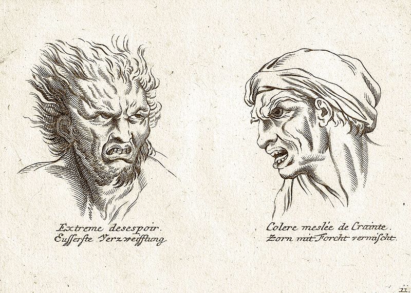 Typical illustration in a 19th century book about Physiognomy (on the left: 'Utter despair', and on the right: 'Anger mixed with fear')