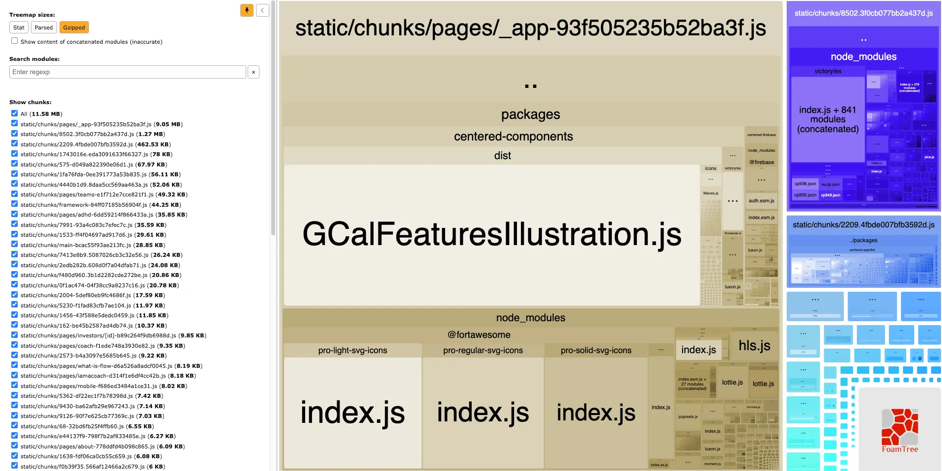 Webpack Bundle Analyzer gzipped output FoamTree visualization. Total chunk size is 11.58 MB, and the biggest chunk is pages/_app at 9.05 MB. A very large GCalFeaturesIllustration.js is inside the app bundle