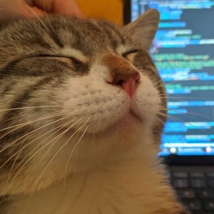 Smiling cat receiving head scratches next to a laptop showing VS Code